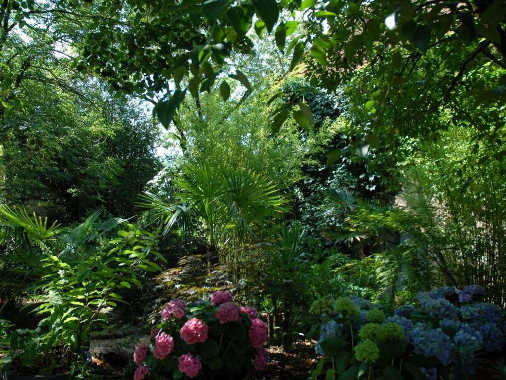 فندق Castanet في  Domaine De Sautou المظهر الخارجي الصورة