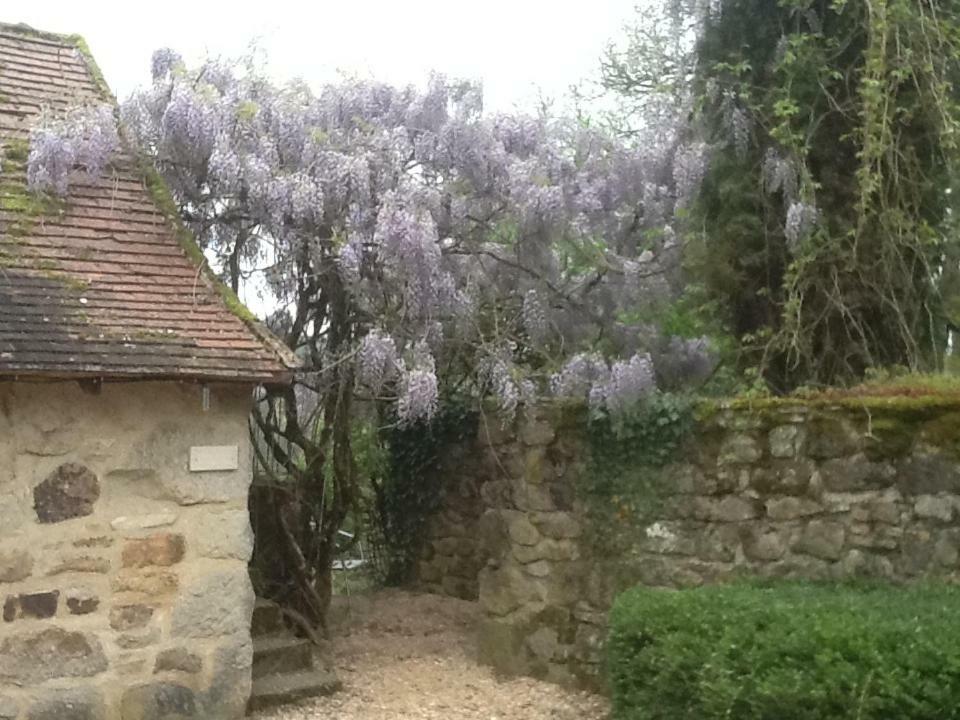 فندق Castanet في  Domaine De Sautou المظهر الخارجي الصورة