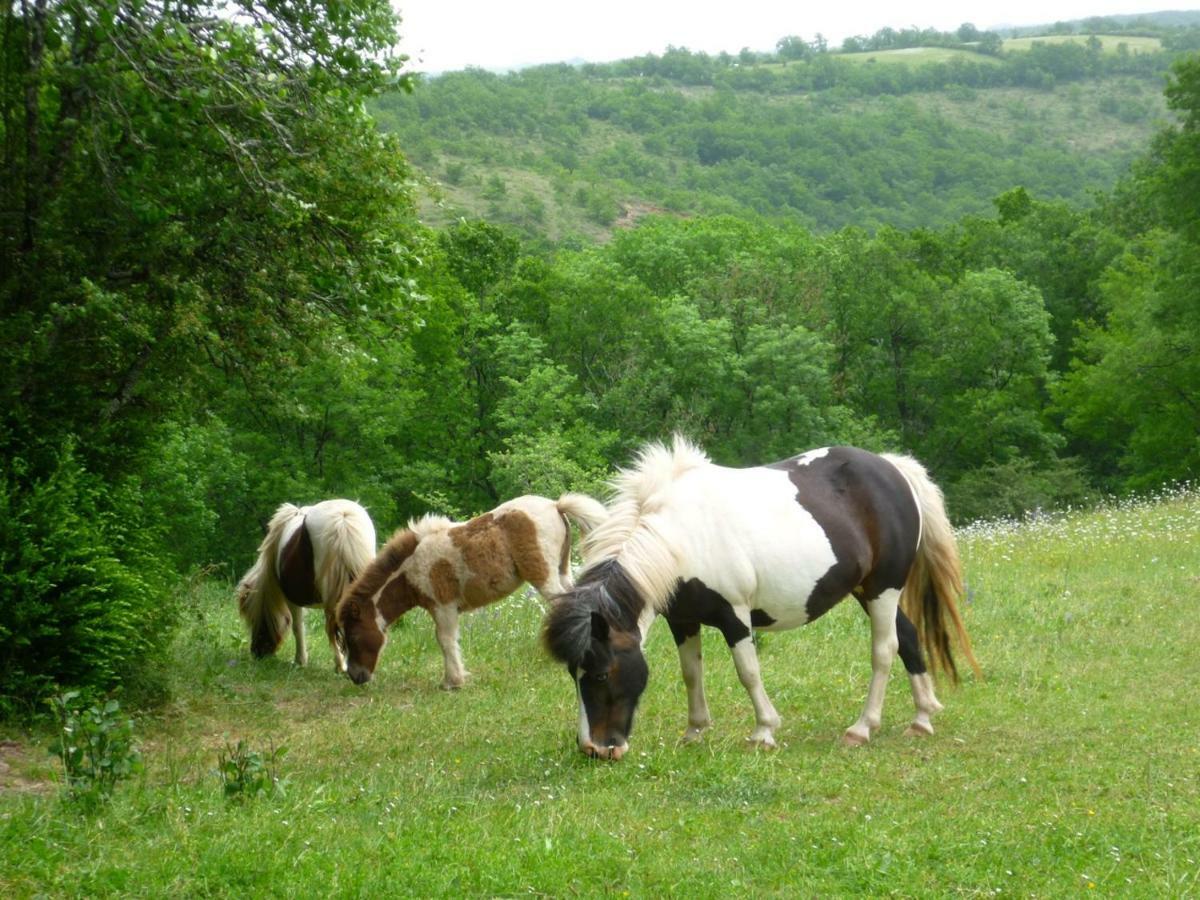 فندق Castanet في  Domaine De Sautou المظهر الخارجي الصورة